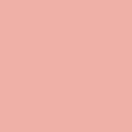Gelová farba Wilton - Creamy Peach (broskyňová) 28,3g