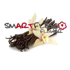 Smartflex Flower 4 kg vanilková príchuť