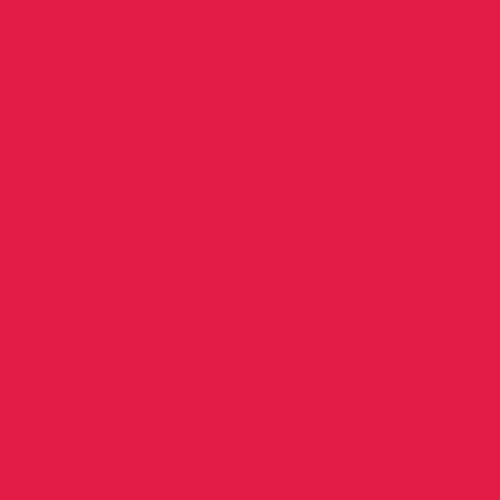 Gelová farba Wilton - Christmas red (vianočná červená) 28,3g